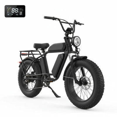 W16B 20" X 4" Fat Tire Electric Bike, 750W Motor Adult Ebike with 48V 15.6Ah Removable Battery, Electric Bicycle with 7 Speed, UL2849