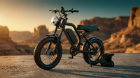 Electric Dirt Bike for Adults - Peak 1500W Electric Bikes, 48V/15.6Ah Ebike, 25-70 Mile(Pas Mode), 20 Inch All-Terrain Fat Tire Electric Motorcycle — Lifestyle