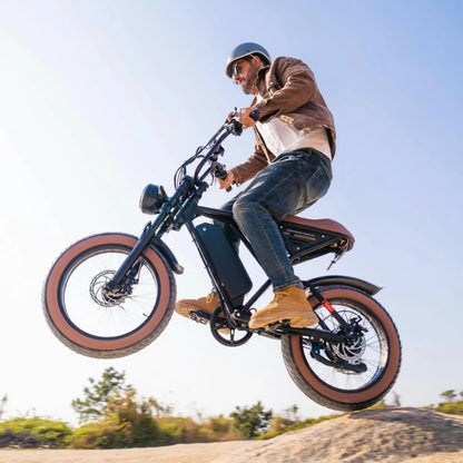 W16B 20" X 4" Fat Tire Electric Bike, 750W Motor Adult Ebike with 48V 15.6Ah Removable Battery, Electric Bicycle with 7 Speed, UL2849