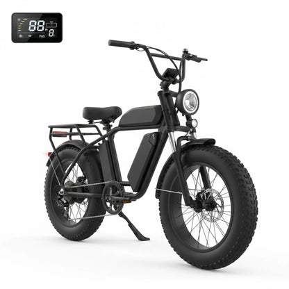 W16B 20" X 4" Fat Tire Electric Bike, 750W Motor Adult Ebike with 48V 15.6Ah Removable Battery, Electric Bicycle with 7 Speed, UL2849