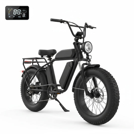 W16B 20" X 4" Fat Tire Electric Bike, 750W Motor Adult Ebike with 48V 15.6Ah Removable Battery, Electric Bicycle with 7 Speed, UL2849