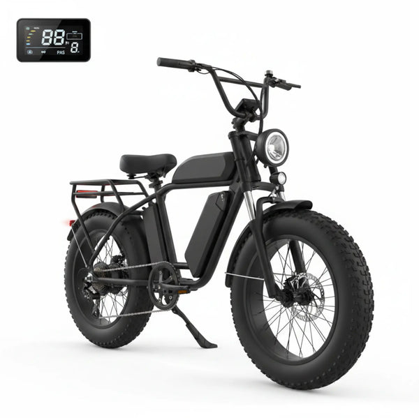 W16B 20" X 4" Fat Tire Electric Bike, 750W Motor Adult Ebike with 48V 15.6Ah Removable Battery, Electric Bicycle with 7 Speed, UL2849