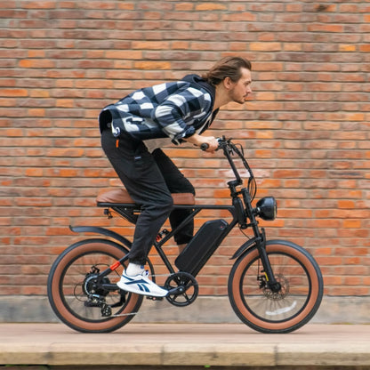 W16B 20" X 4" Fat Tire Electric Bike, 750W Motor Adult Ebike with 48V 15.6Ah Removable Battery, Electric Bicycle with 7 Speed, UL2849