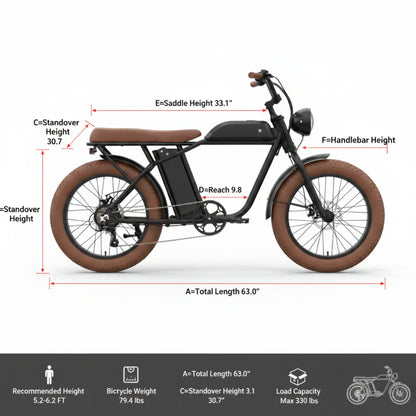 W16B 20" X 4" Fat Tire Electric Bike, 750W Motor Adult Ebike with 48V 15.6Ah Removable Battery, Electric Bicycle with 7 Speed, UL2849